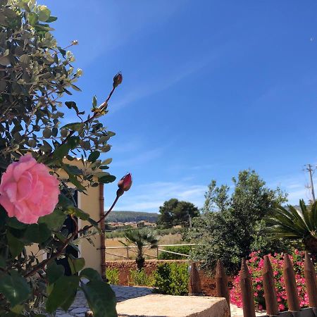 La Villa Dei Girasoli クストナーチ エクステリア 写真