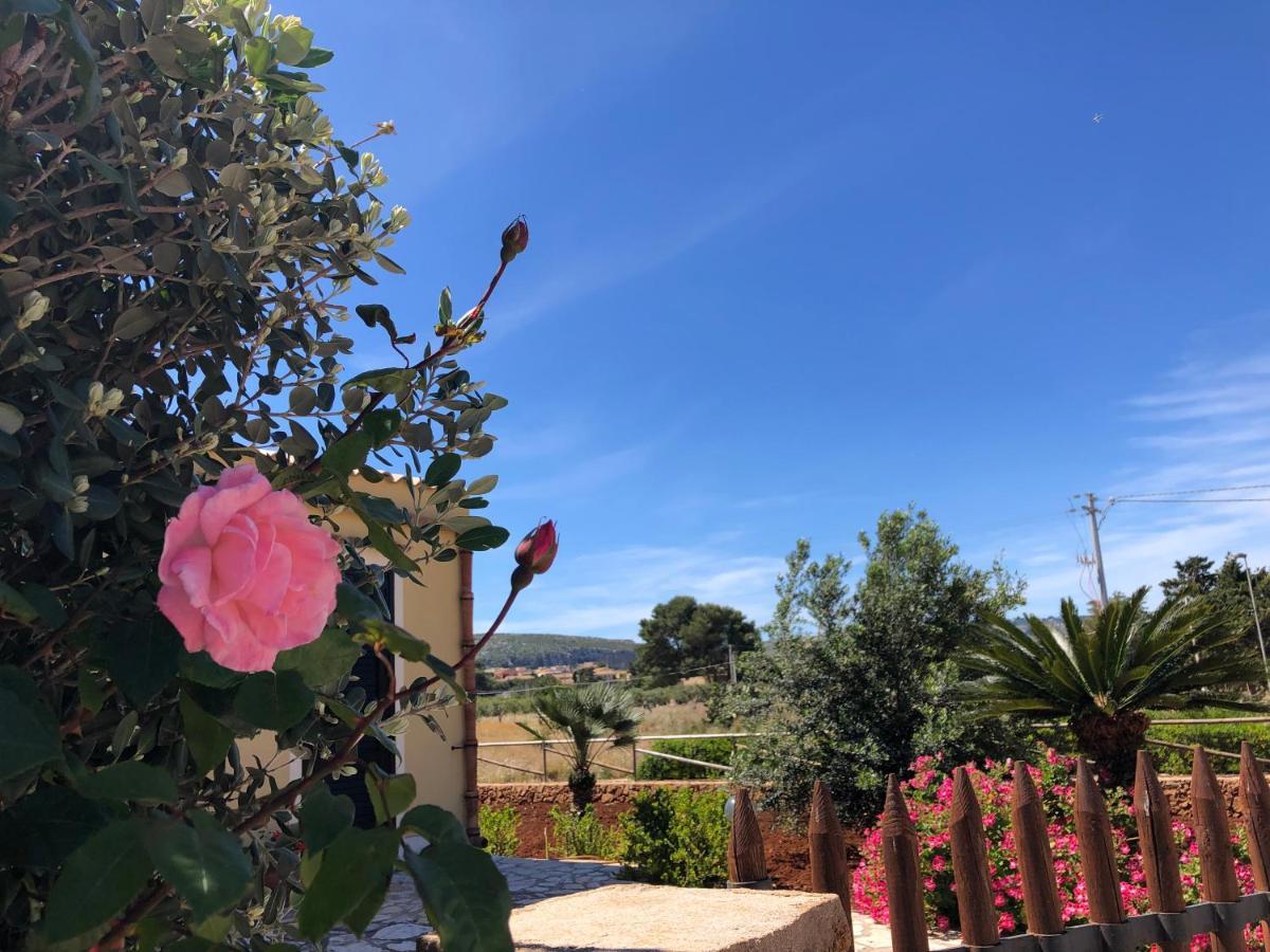 La Villa Dei Girasoli クストナーチ エクステリア 写真